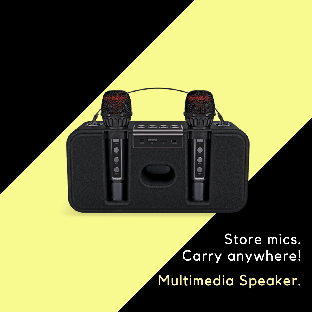 2-Mic Karaoke