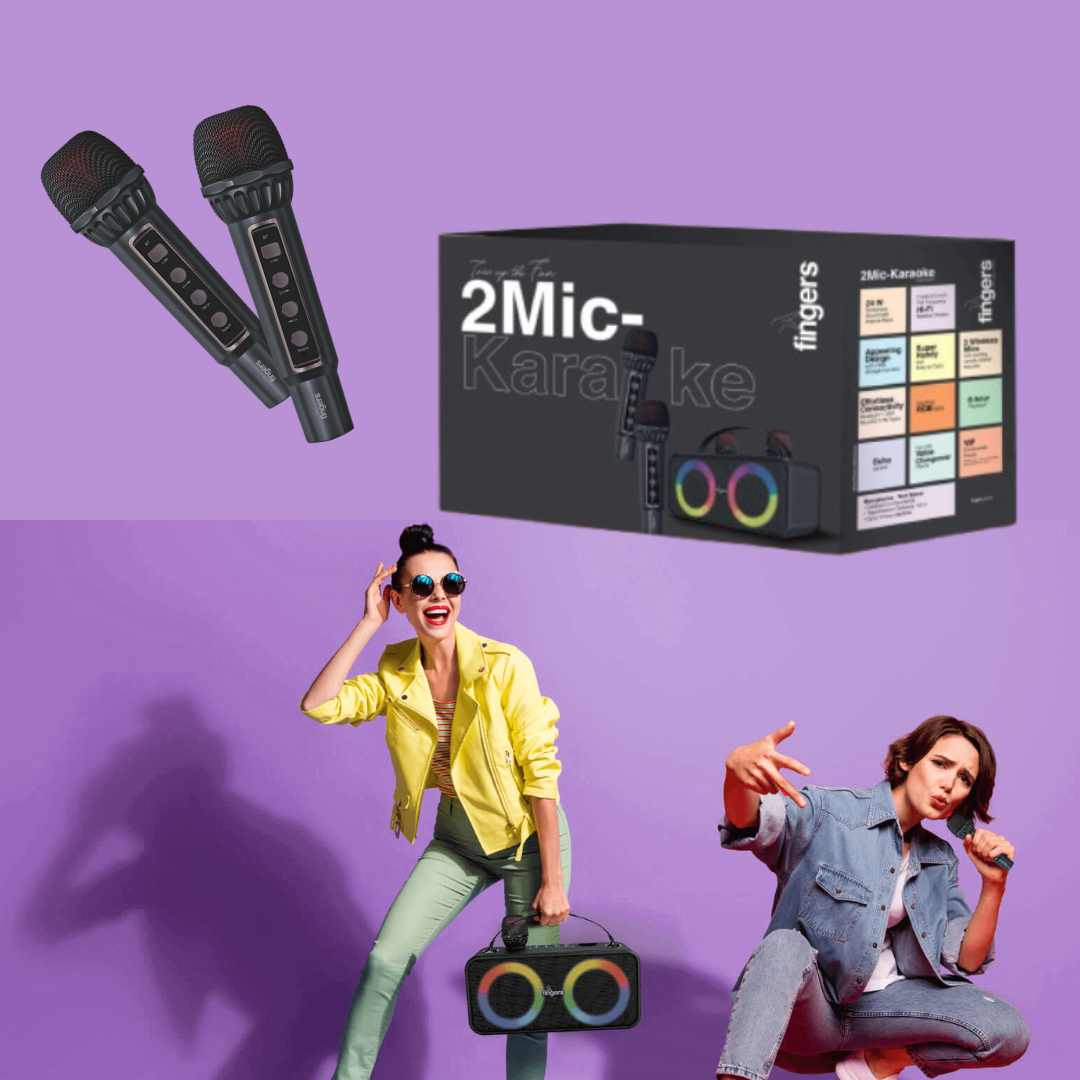 2-Mic Karaoke