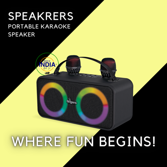 2-Mic Karaoke
